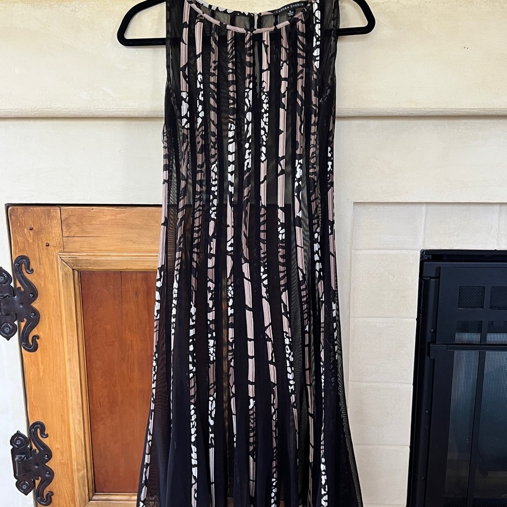 Sheer dress from Sandra Darren